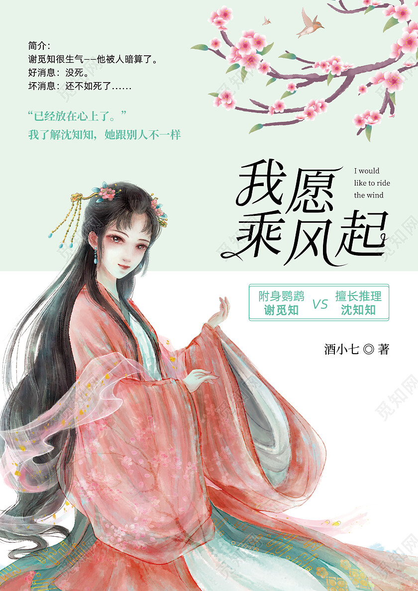 古风言情我愿乘风起小说书籍封面
