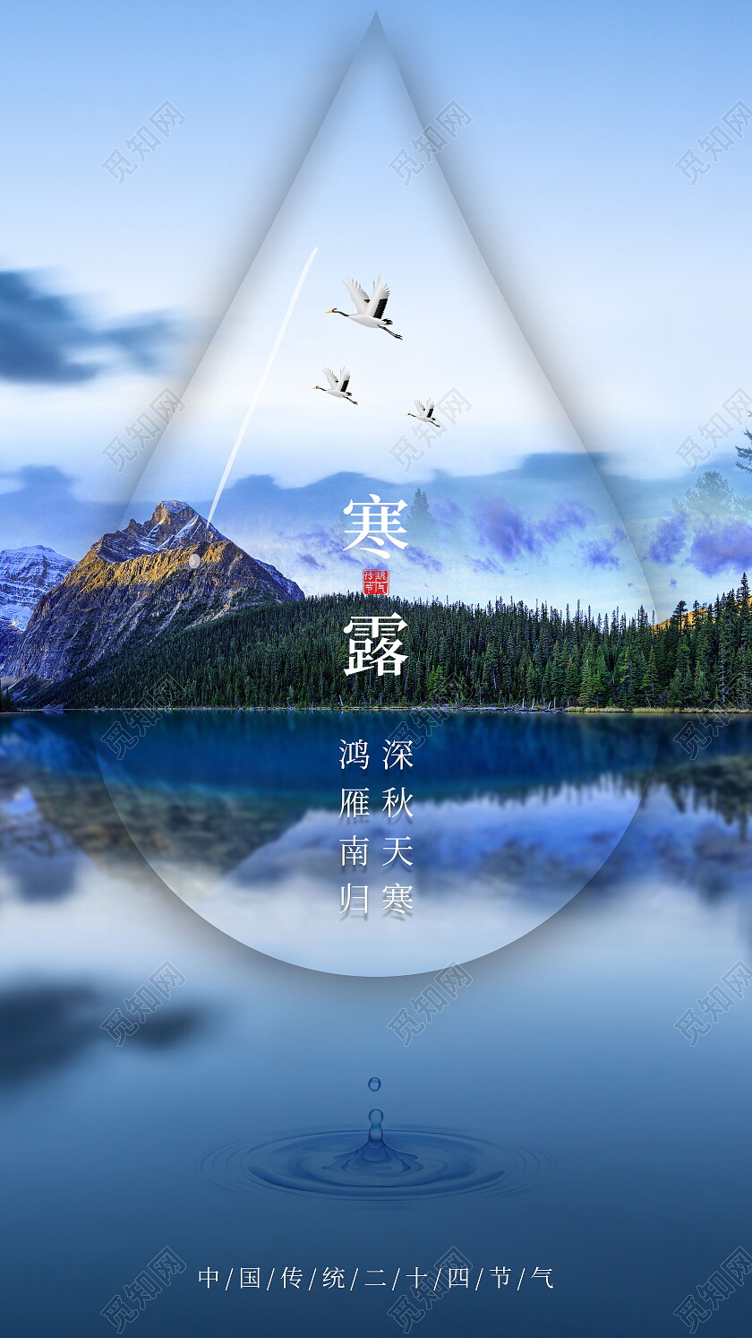 简约摄影二十四节气寒露海报节日