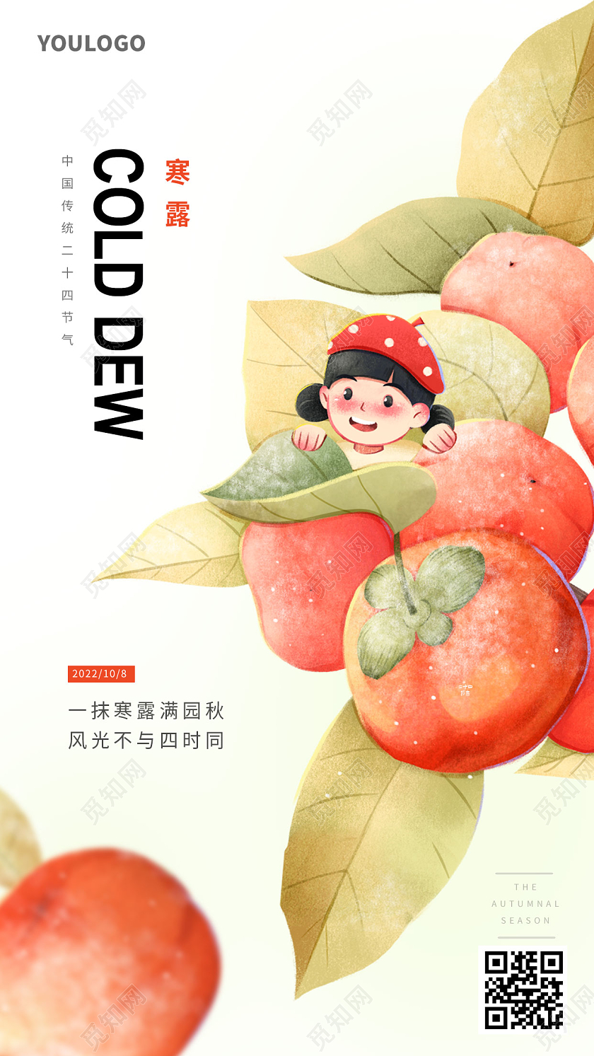插画风柿子寒露节气海报二十四节气海报