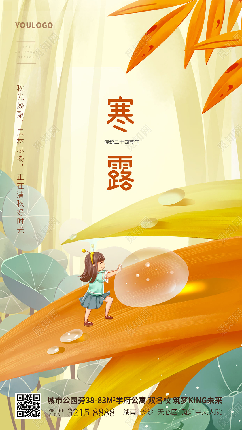 插画风寒露节气海报二十四节气海报