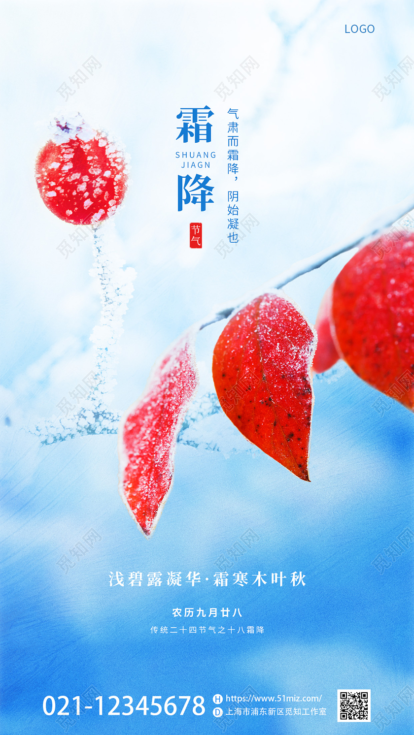 蓝色简约二十四节气霜降水滴柿子手机海报霜降海报