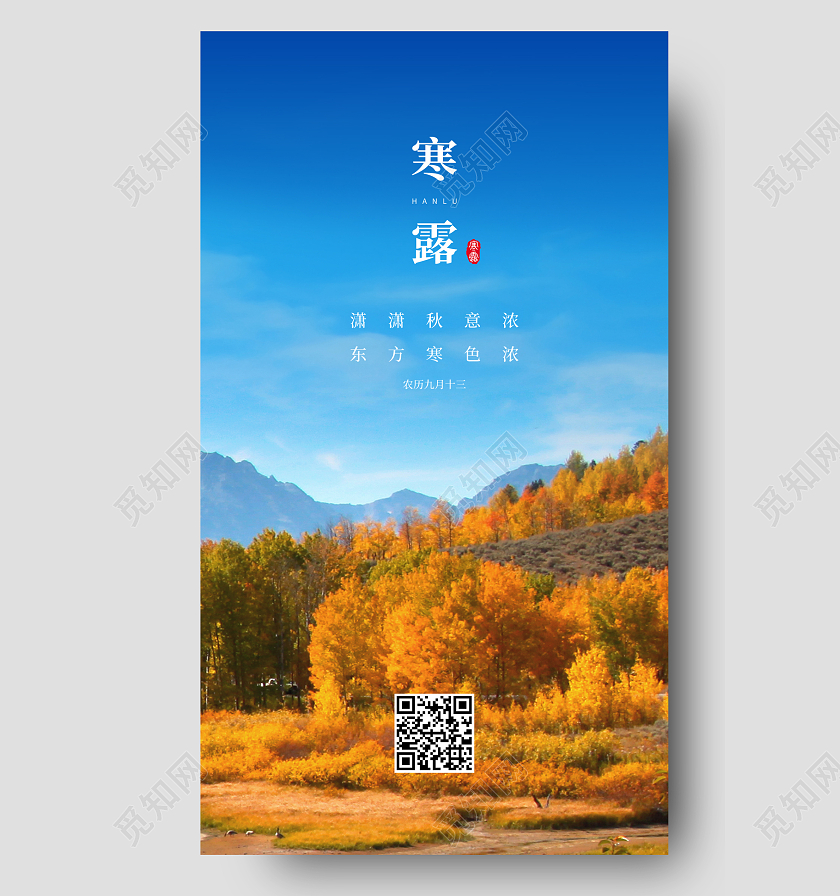 蓝色简约寒露二十四节气宣传手机海报