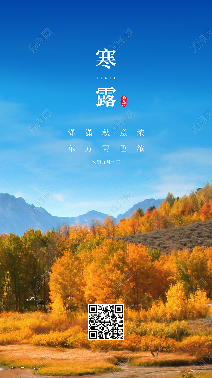 蓝色简约寒露二十四节气宣传手机海报