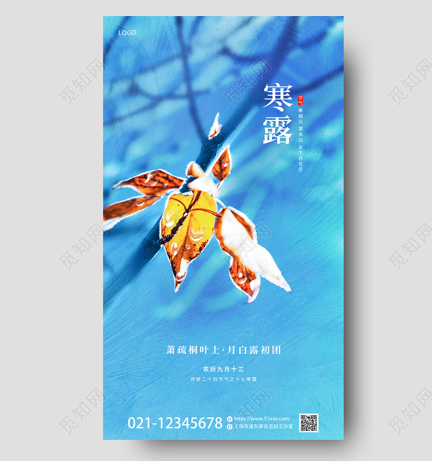 蓝色简约摄影图二十四节气寒露手机宣传海报