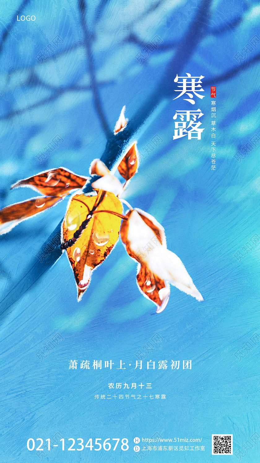 蓝色简约摄影图二十四节气寒露手机宣传海报