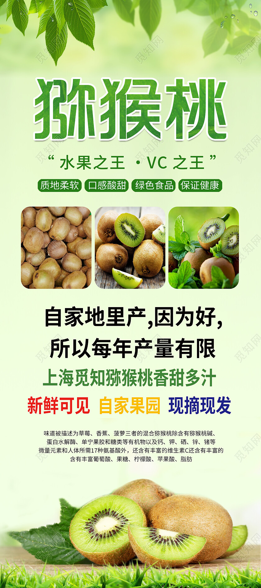 绿色简约清新冬季水果猕猴桃时令水果展架背景猕猴桃展架