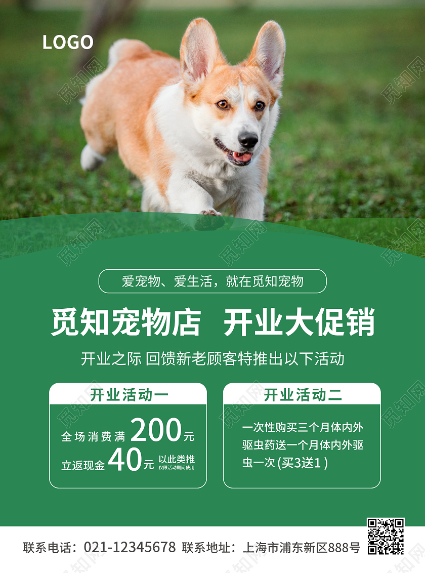 绿色简约大气风觅知宠物店开业大促销宠物店宣传单