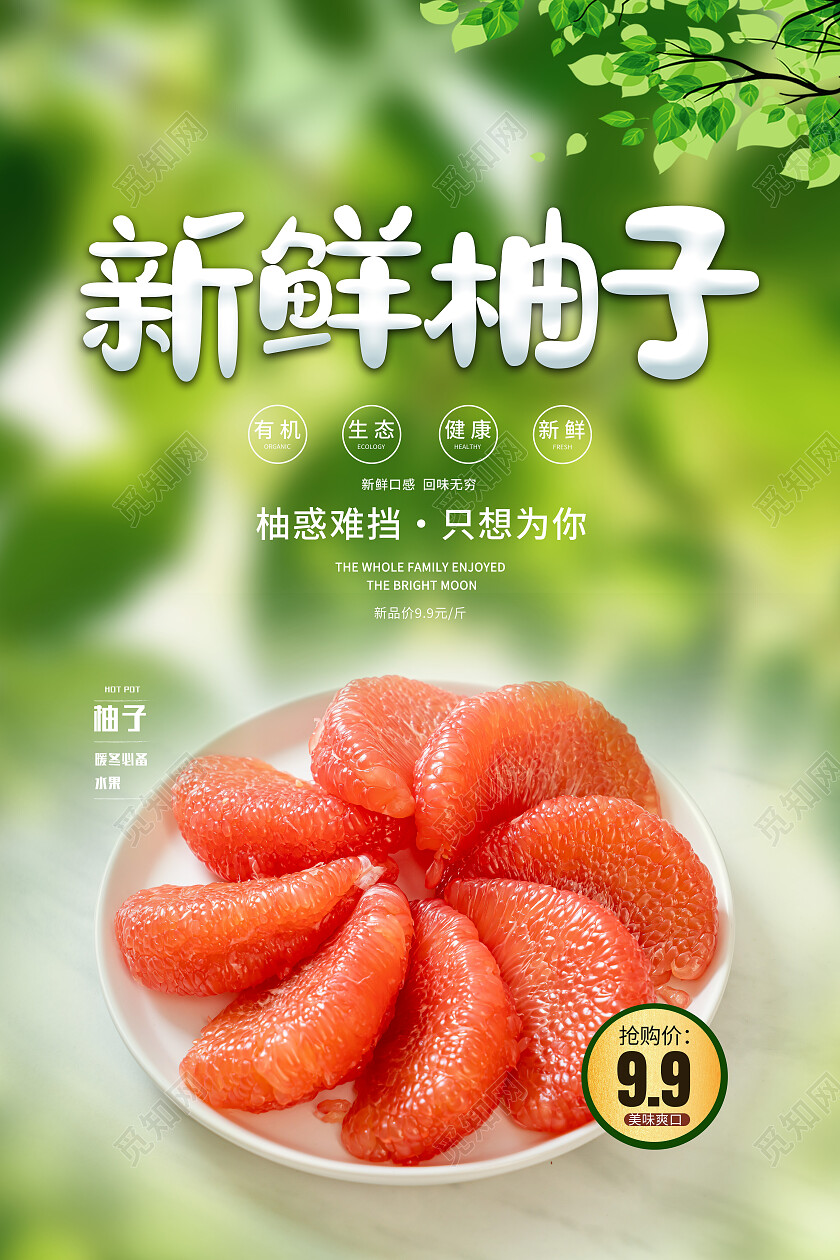 绿色简约新鲜柚子水果柚子海报