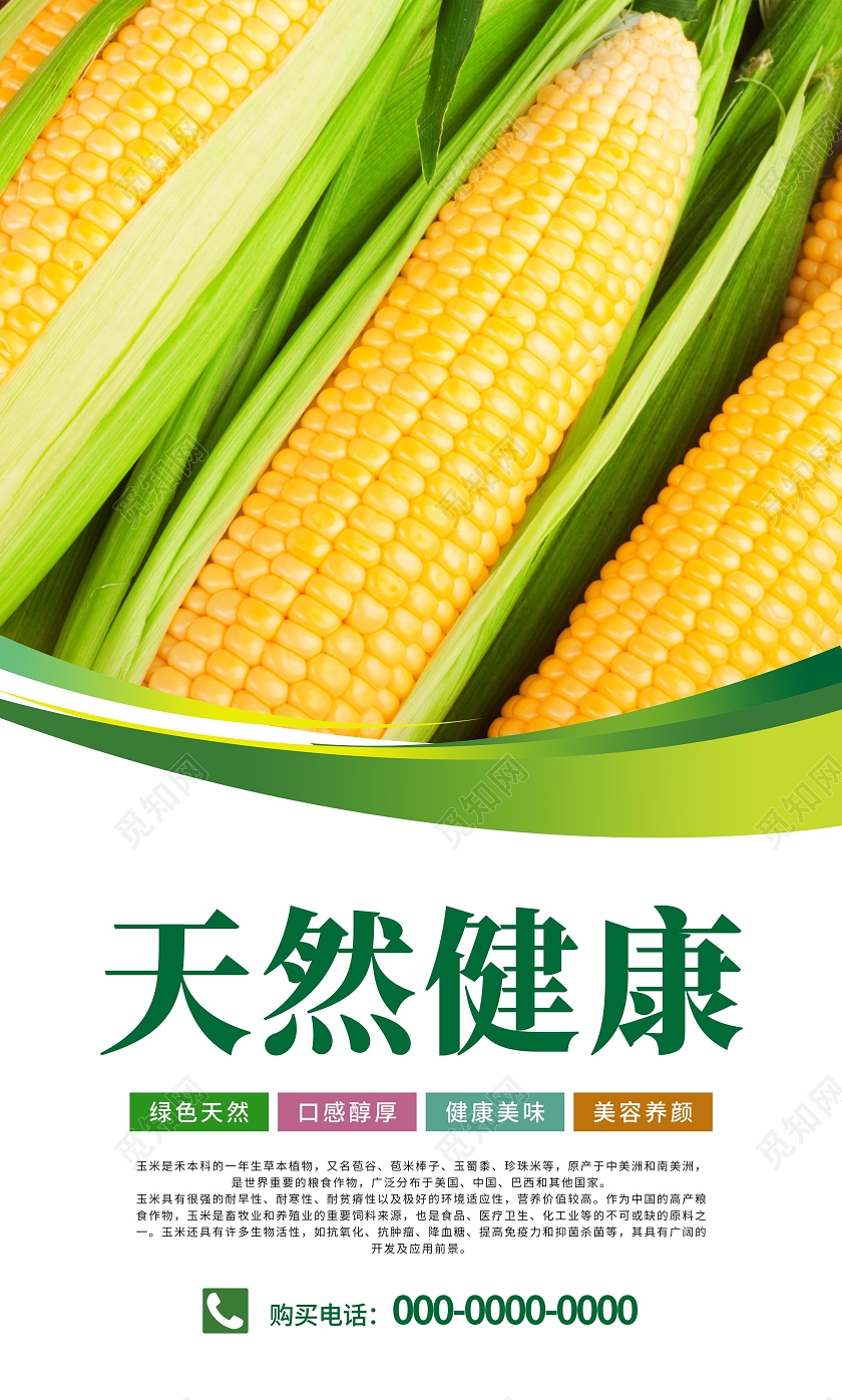 绿色简约大气玉米宣传套图海报