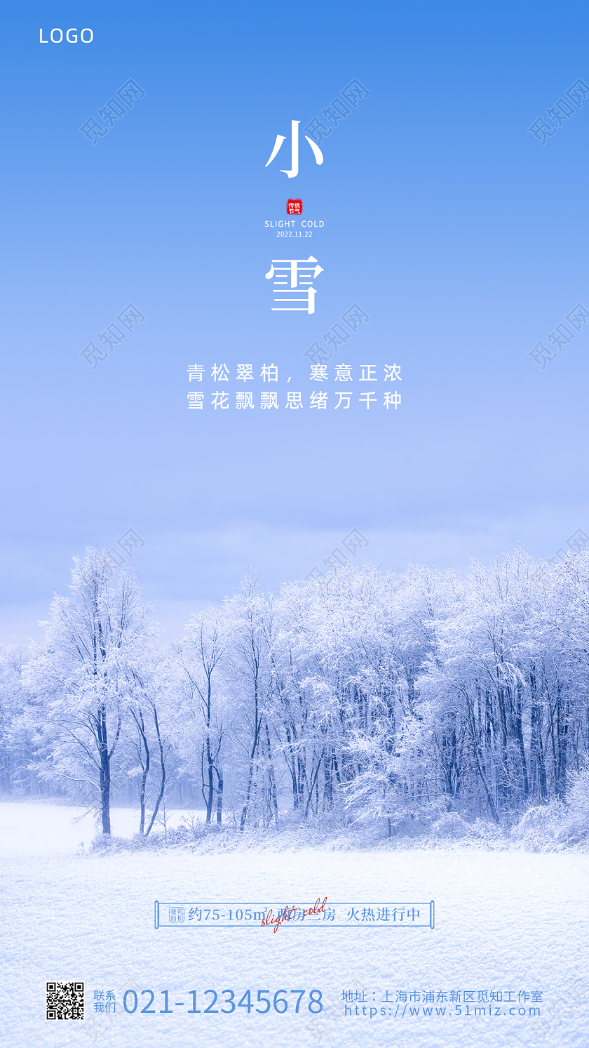 蓝色实拍小雪节气手机海报