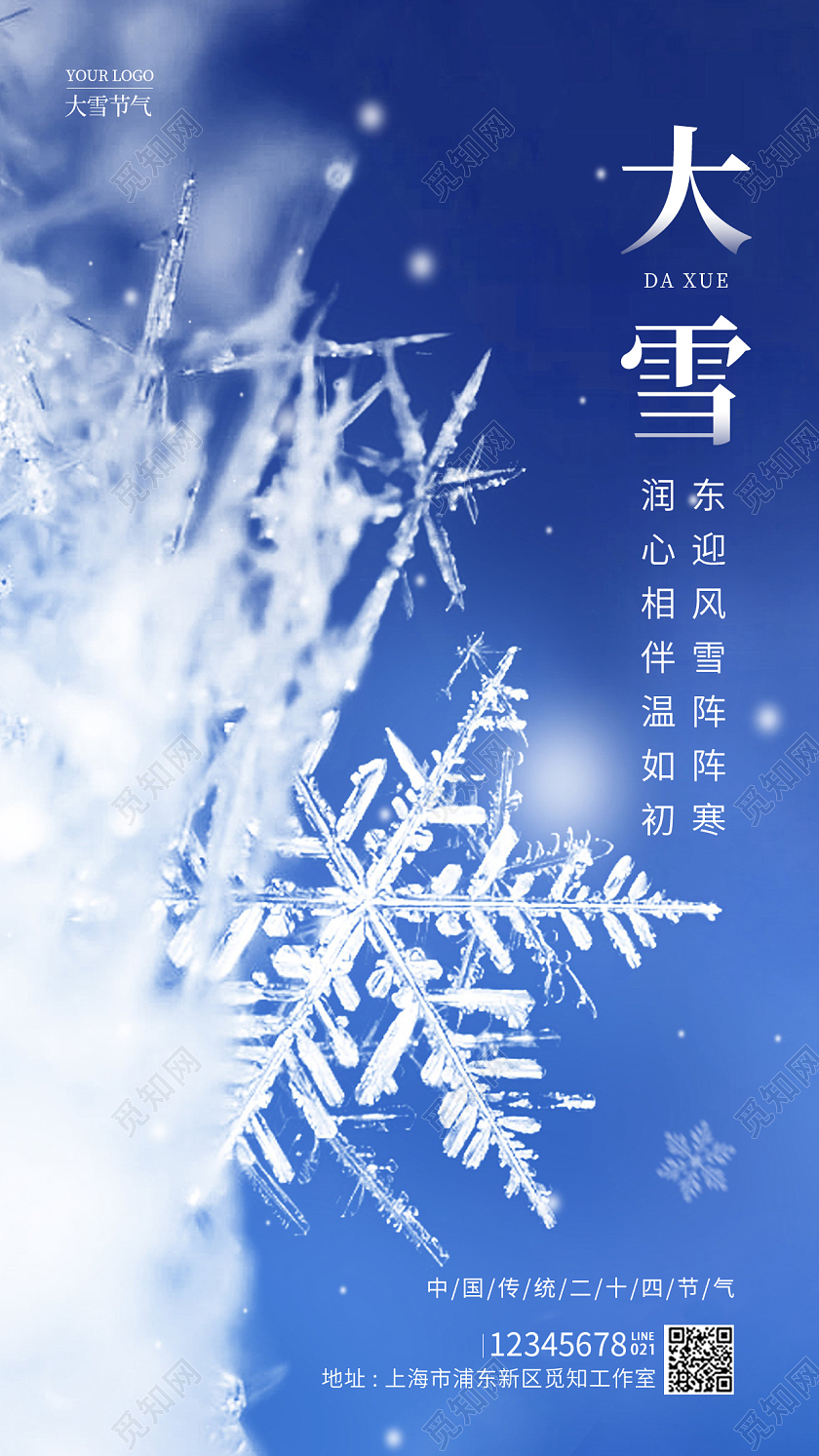 蓝色简约风大雪手机宣传海报节气海报
