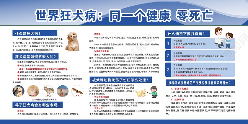蓝色预防狂犬病狂犬病处理流程狂犬病宣传栏宣传栏