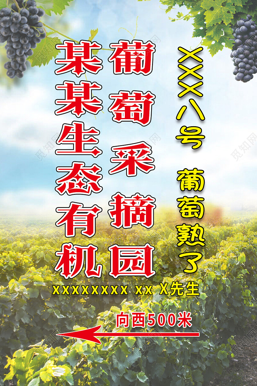 蓝色背景简约风格葡萄采摘果园采摘指示牌