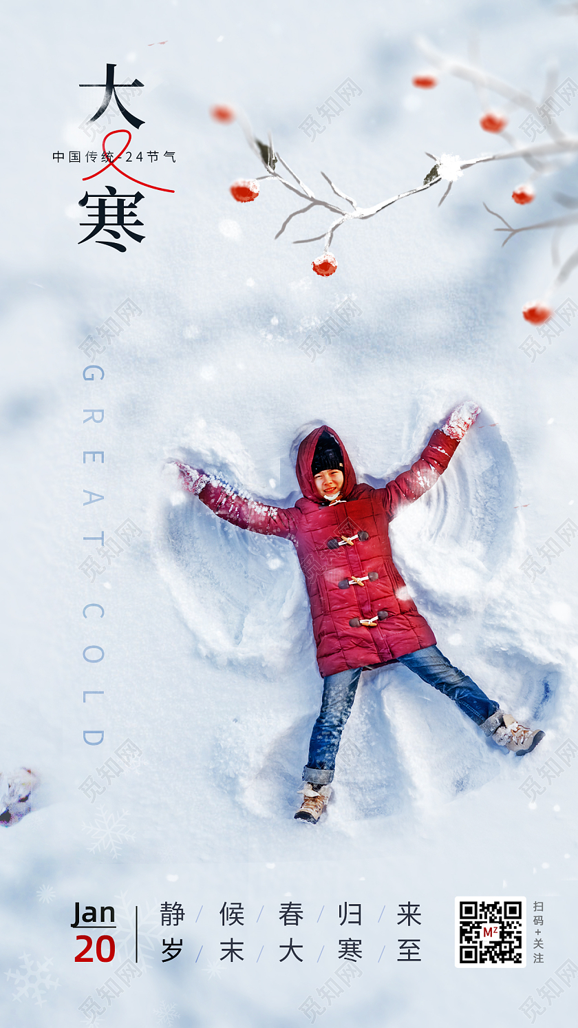 24节气之大寒手机宣传海报