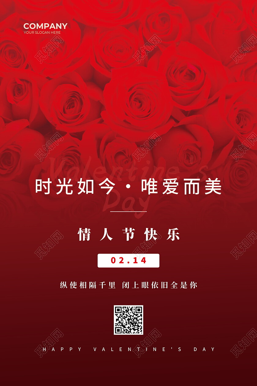 红色大气玫瑰214情人节情人节节日