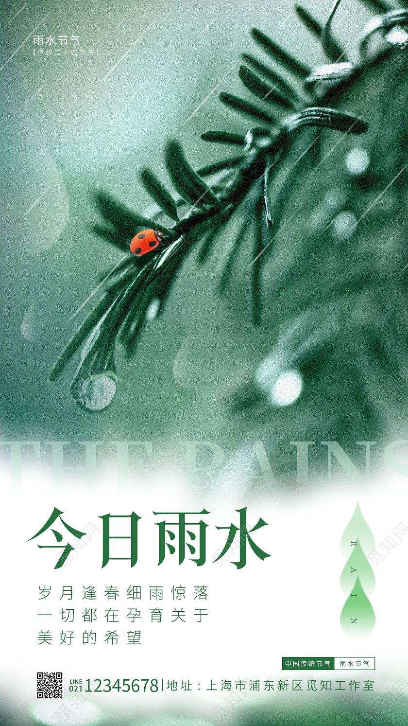 绿色摄影风格今日雨水手机宣传海报节气海报