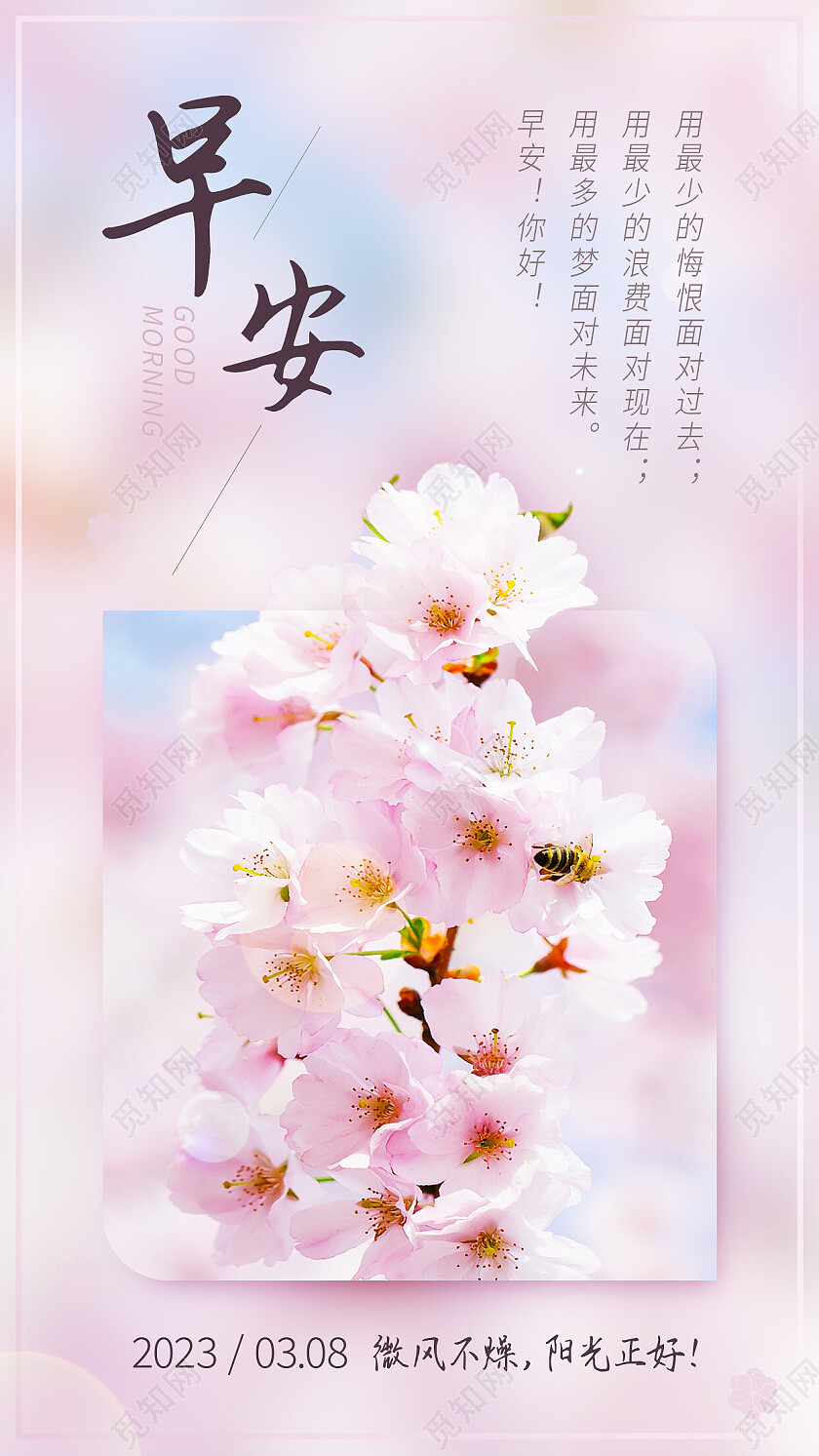 粉色摄影实拍清新简约早安樱花海报