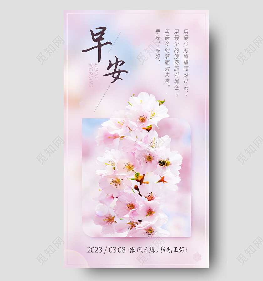 粉色摄影实拍清新简约早安樱花海报