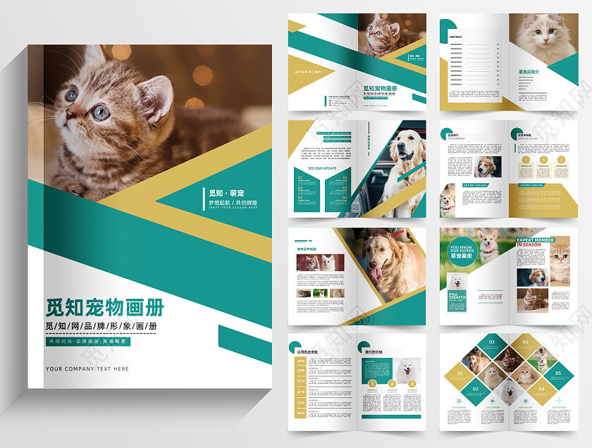 绿黄简约清新宠物画册整套