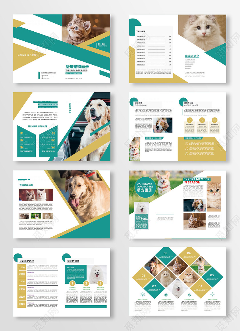 绿黄简约清新宠物画册整套