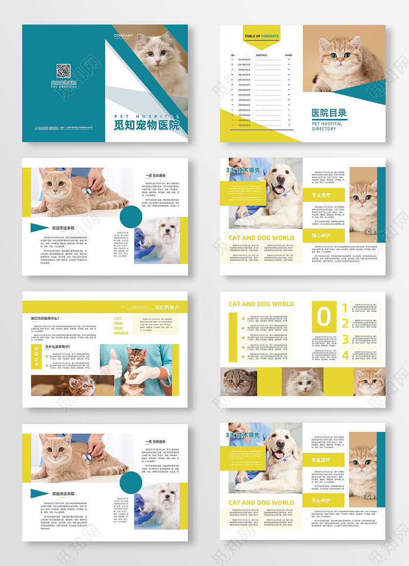 蓝黄简约清新宠物医院画册宠物画册整套