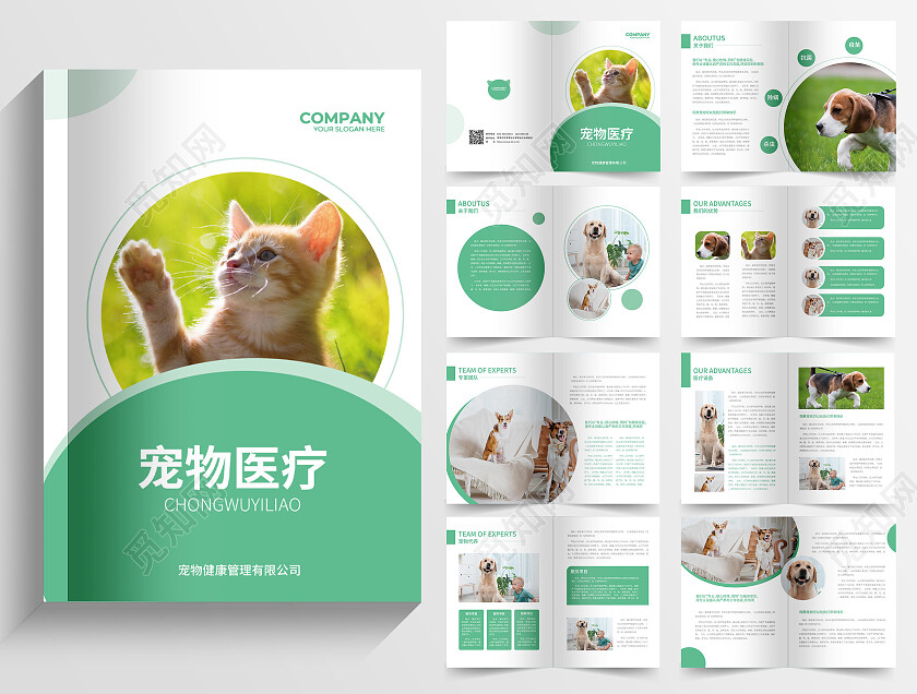 浅绿色创意简约几何宠物医疗服务宠物画册整套