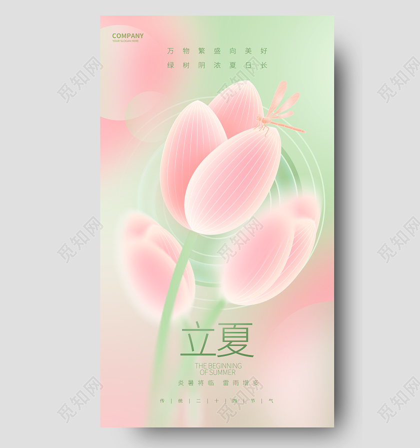 简约弥散风二十四节气立夏节气手机海报