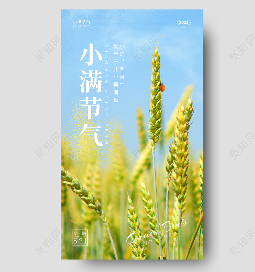 蓝色磨砂纹理小满节气手机宣传海报