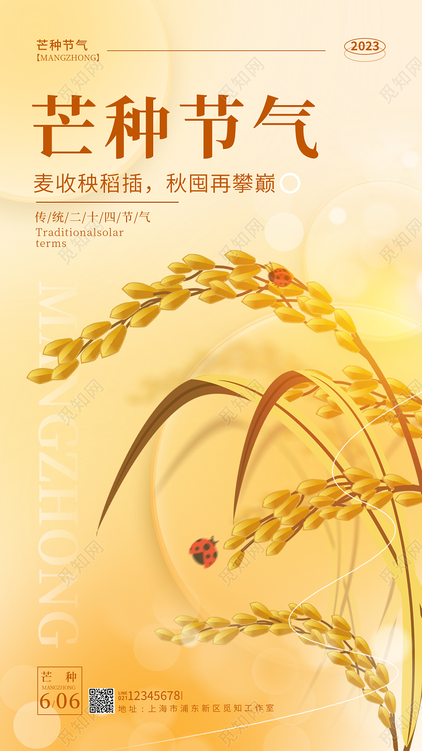 弥散渐变芒种节气手机宣传海报