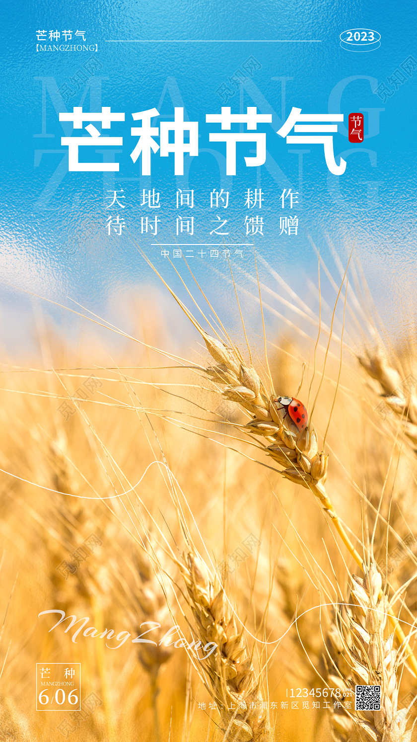 黄色磨砂纹理风芒种节气手机宣传海报