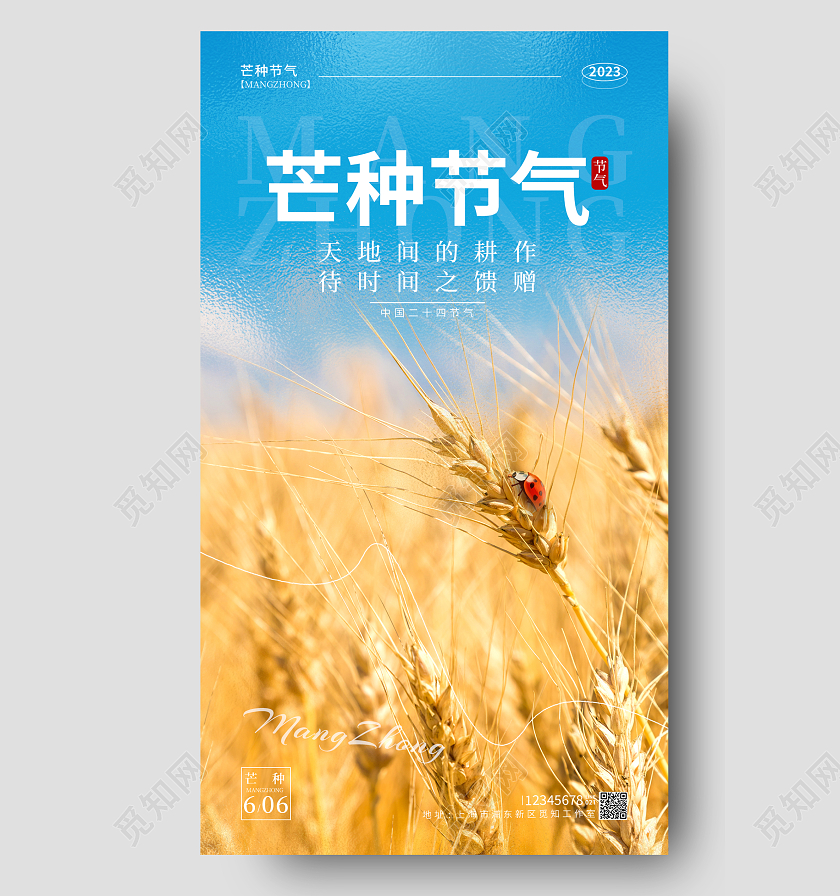 黄色磨砂纹理风芒种节气手机宣传海报