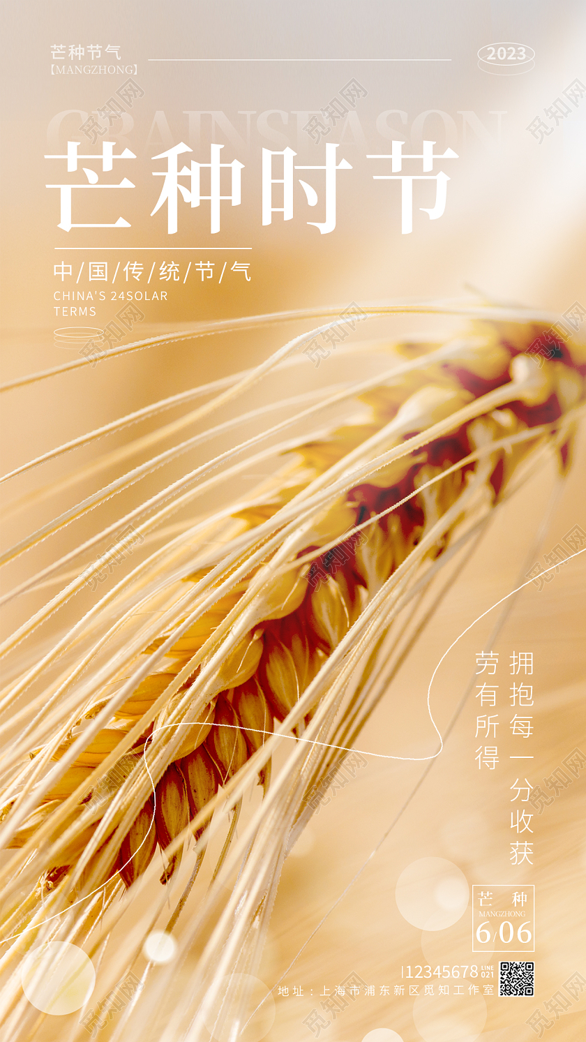 渐变色摄影实拍芒种节气手机海报