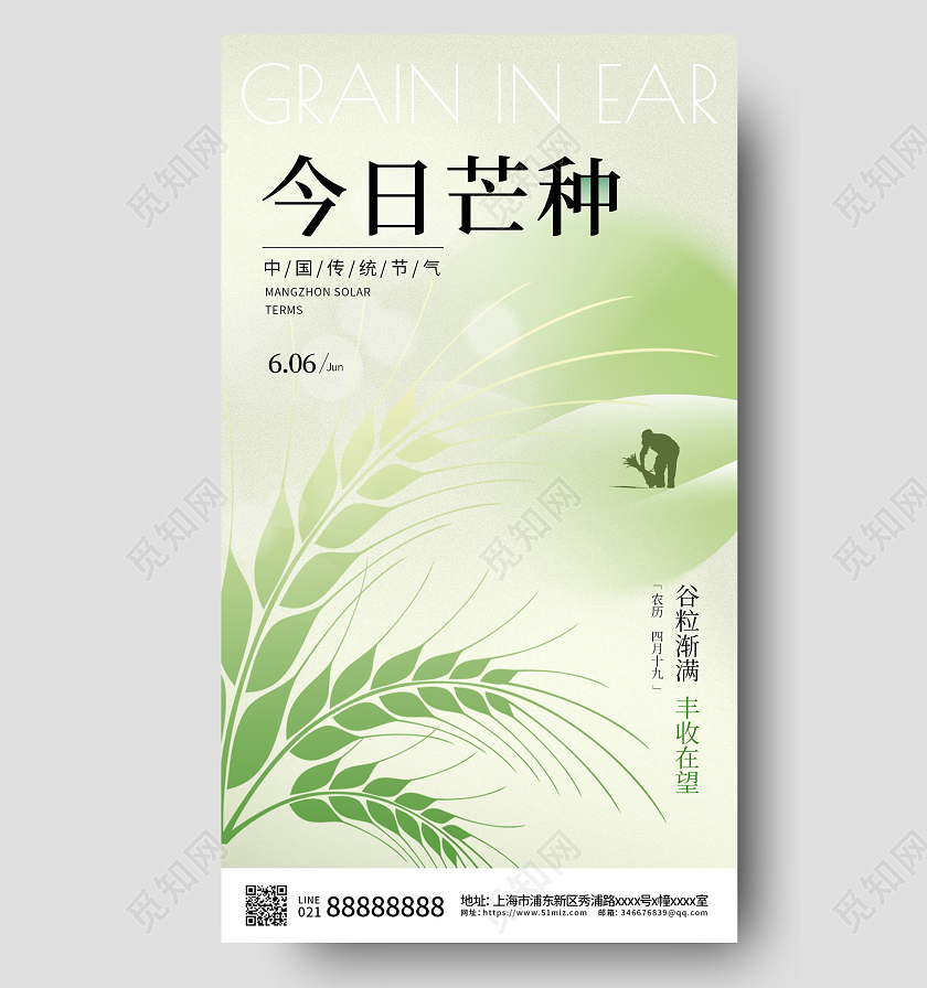 简约24节气芒种节气手机宣传海报