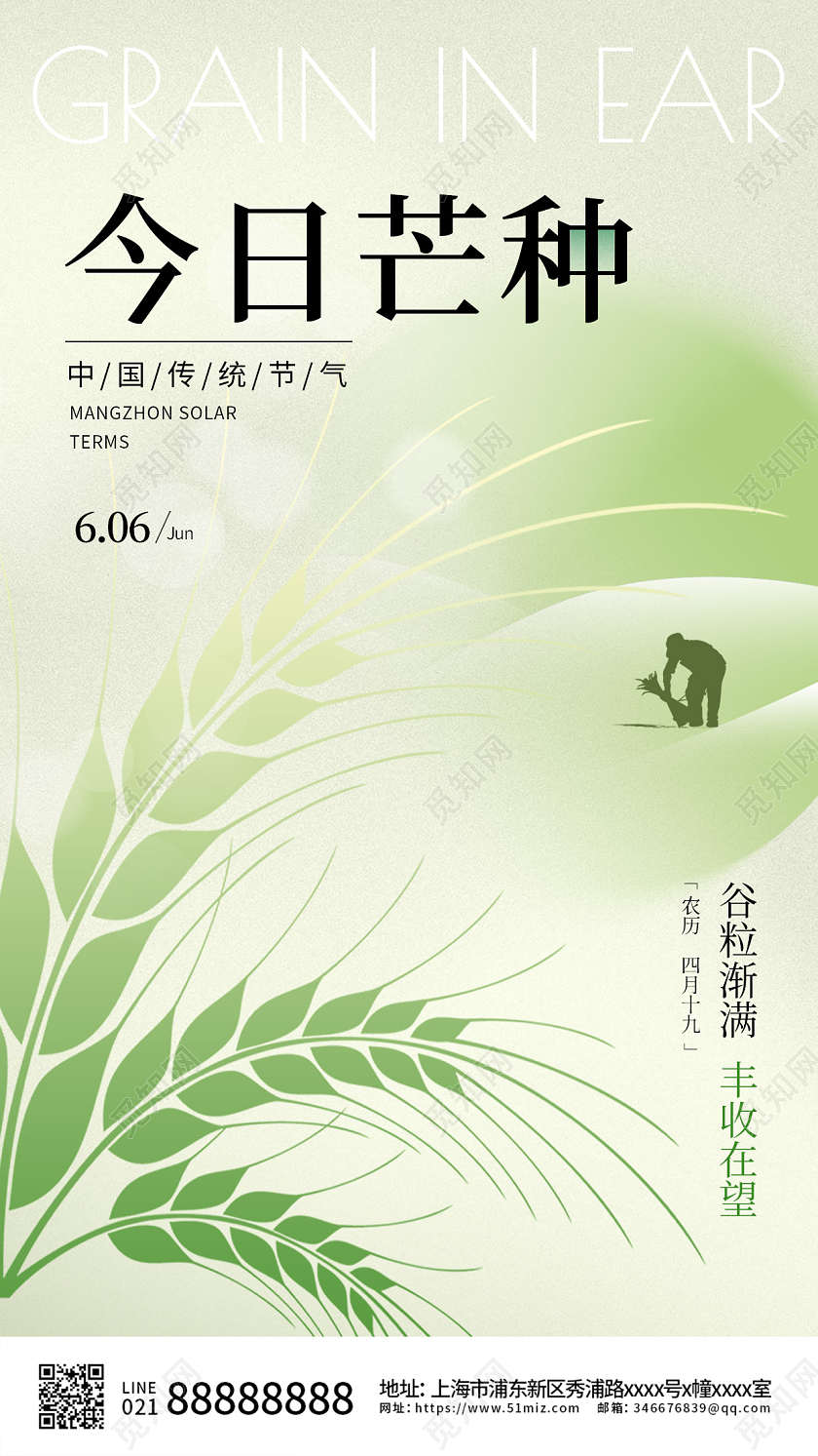 简约24节气芒种节气手机宣传海报