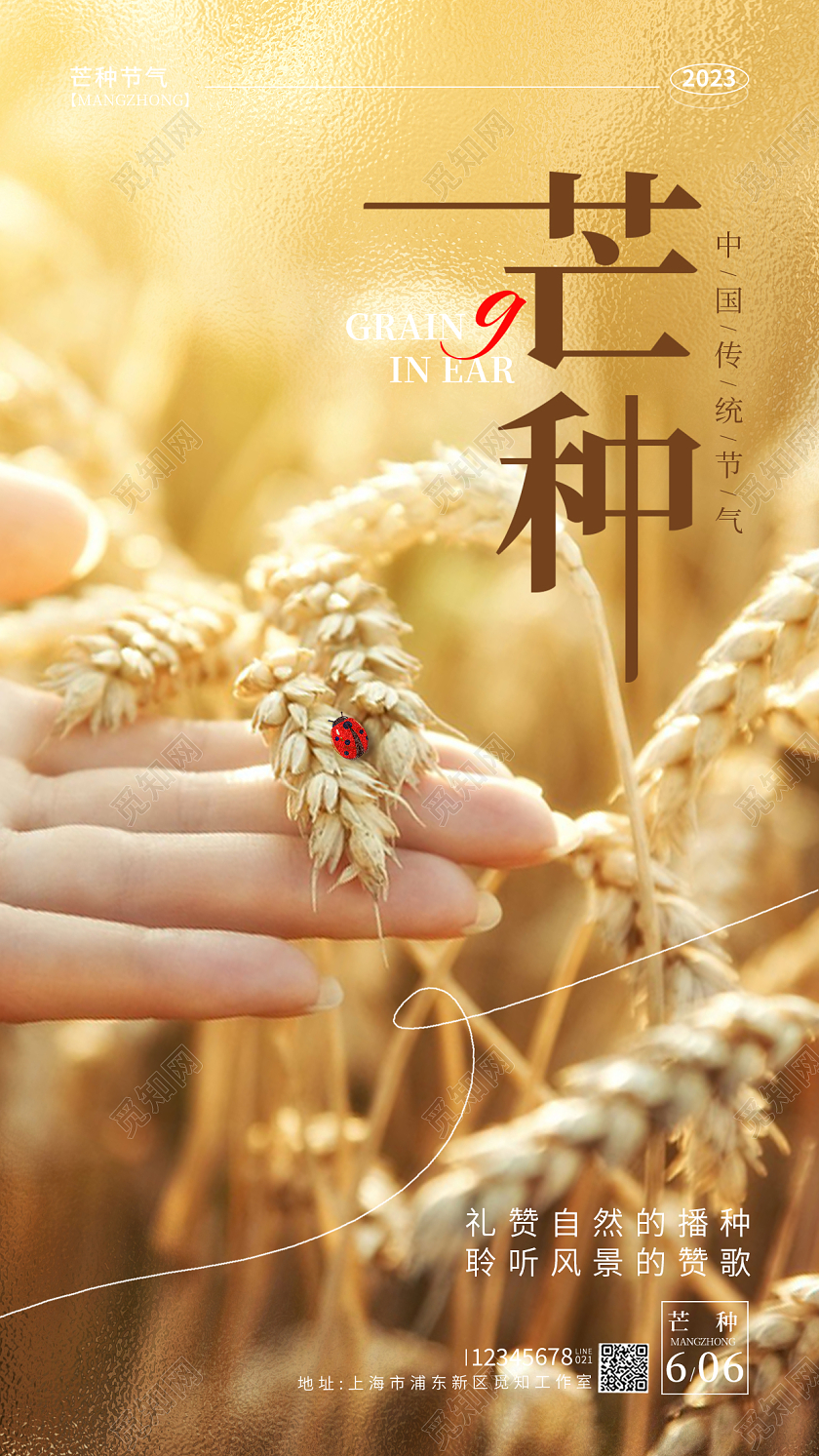 黄色摄影实拍风芒种节气手机海报