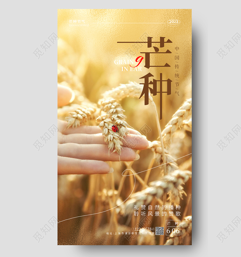 黄色摄影实拍风芒种节气手机海报