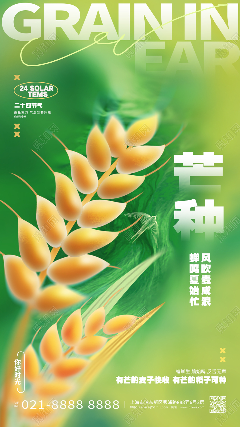 绿色弥散风二十四节气芒种节气手机海报