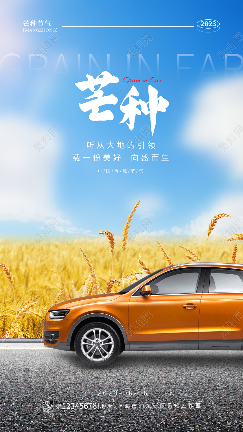 蓝色简约风芒种节气手机宣传海报