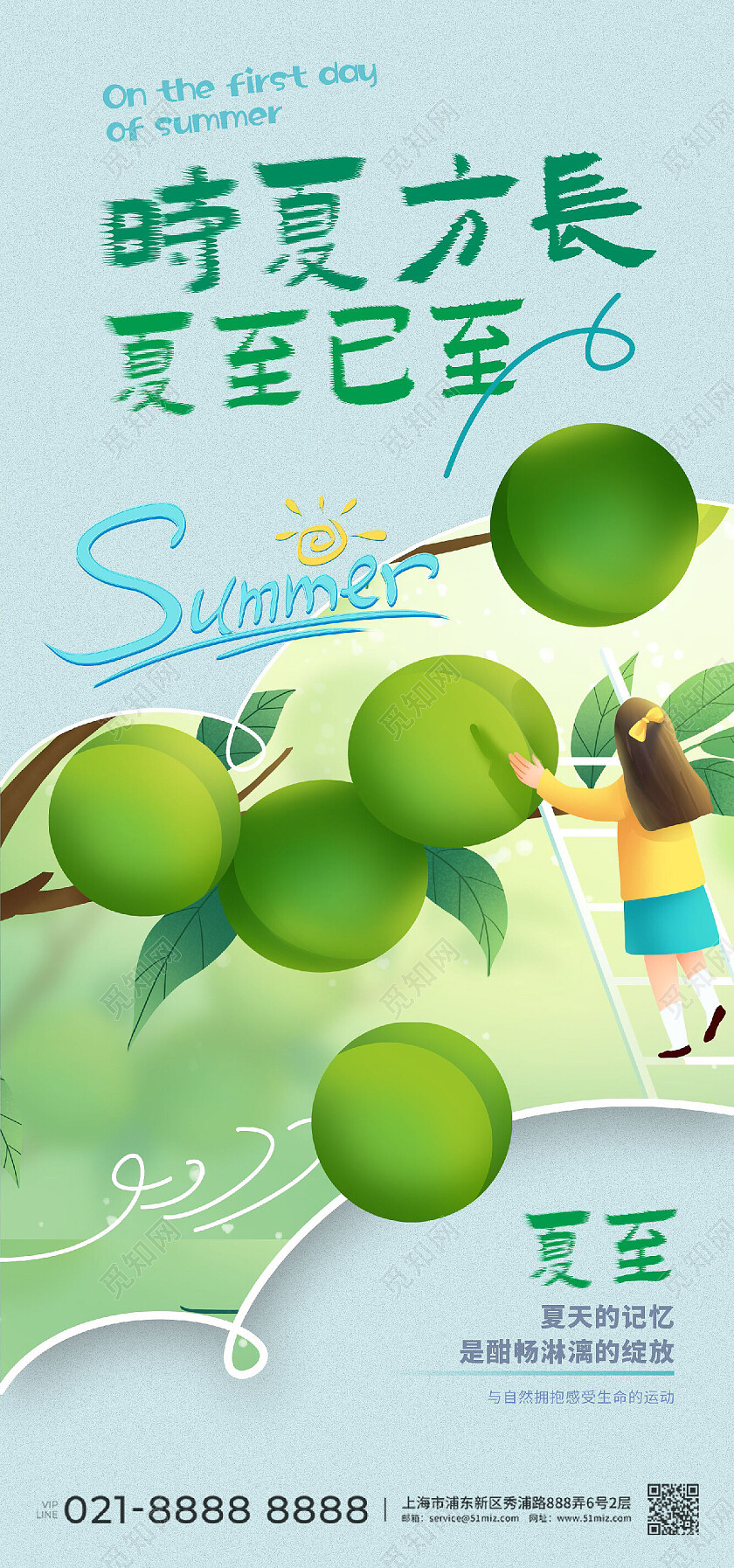 夏至青梅果实夏天采摘插画手绘夏至节气手机宣传海报