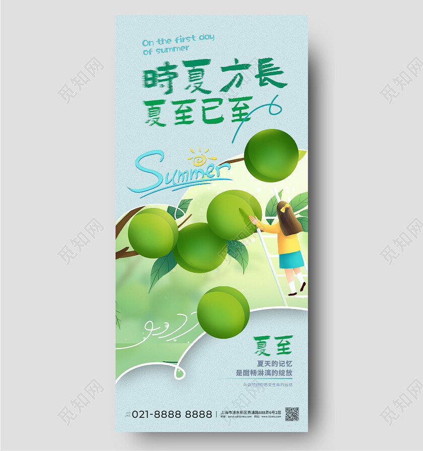 夏至青梅果实夏天采摘插画手绘夏至节气手机宣传海报
