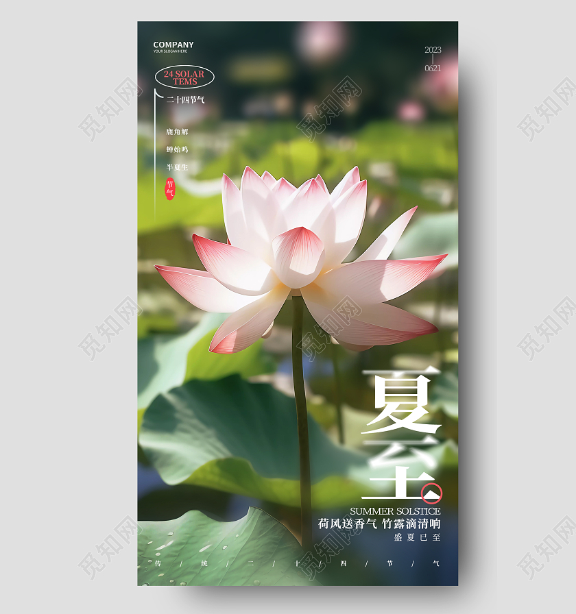简约大气二十四节气夏至节气手机海报AI