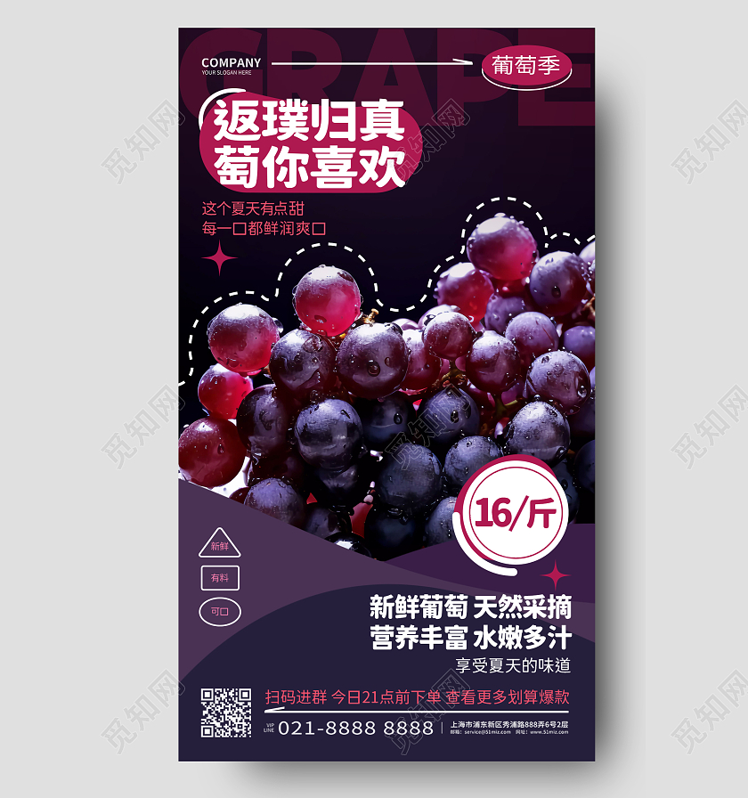 创意简约葡萄促销手机宣传AI