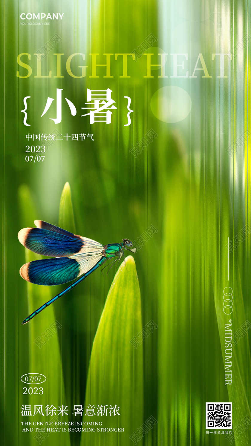 简约小暑节气二十四节气手机宣传海报