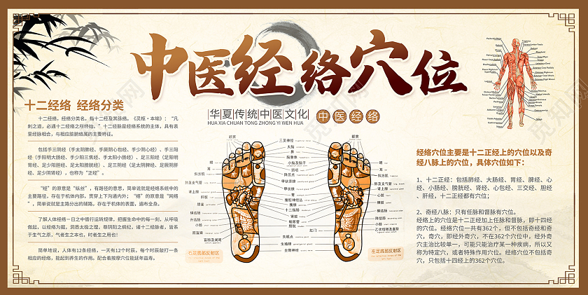 复古中国风中医经络背景墙宣传展板设计中医养生穴位图