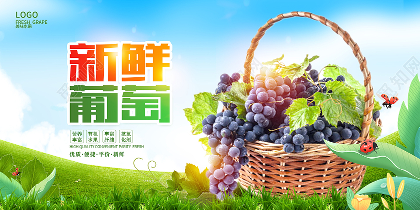 绿色时尚新鲜葡萄宣传展板设计