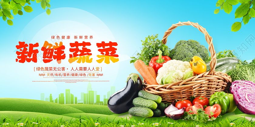 时尚大气新鲜蔬菜宣传展板