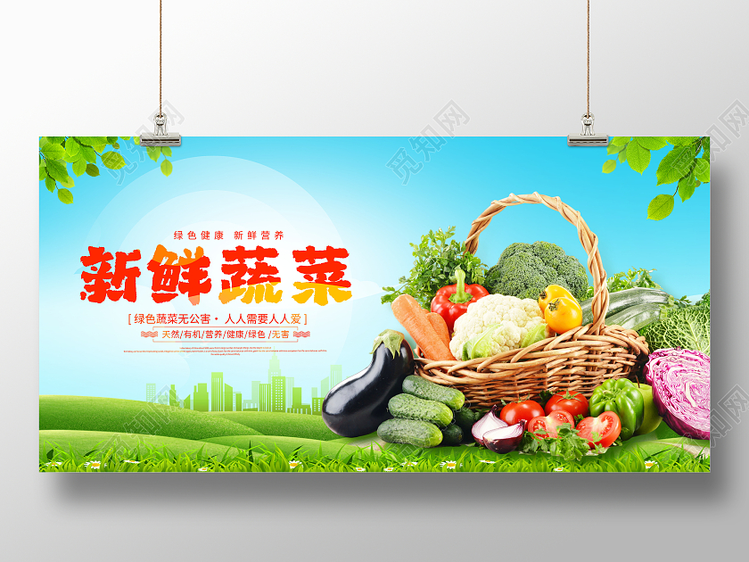 时尚大气新鲜蔬菜宣传展板