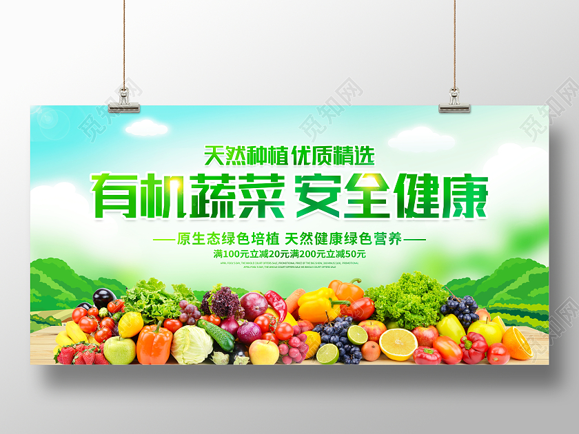 时尚大气有机蔬菜安全健康蔬菜宣传展板