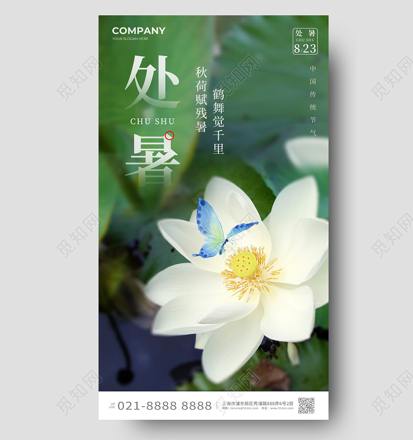 摄影实拍处暑节气手机宣传海报