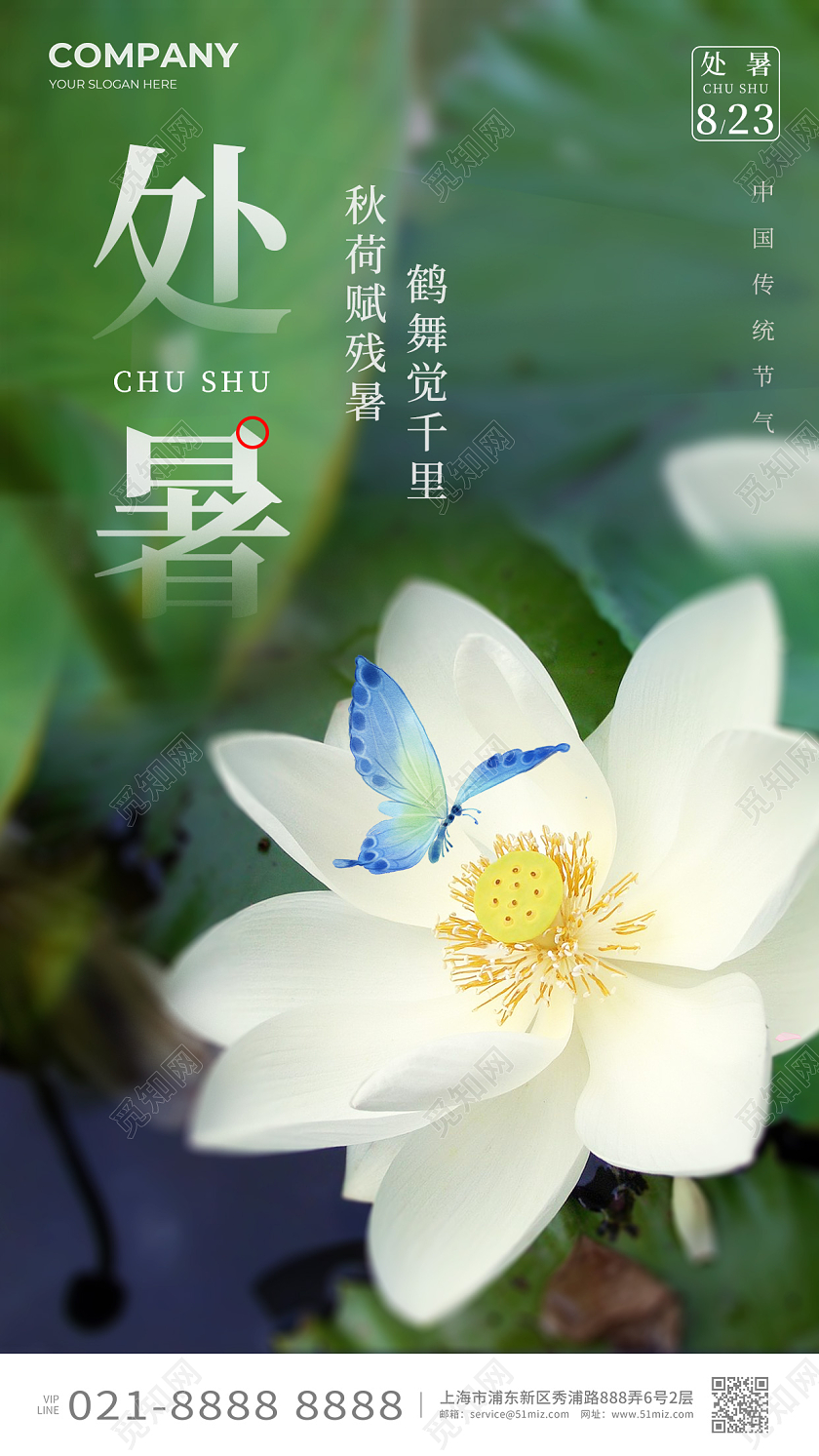 摄影实拍处暑节气手机宣传海报